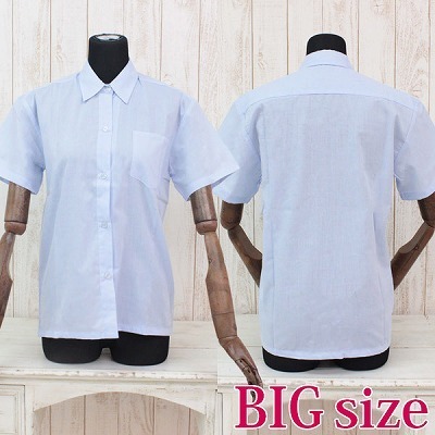 �����V���c�P�i�@�T�b�N�X�@�a�h�f�i�R�X�`���[���j