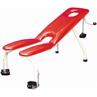 すぐイクチェアー(業務用品)