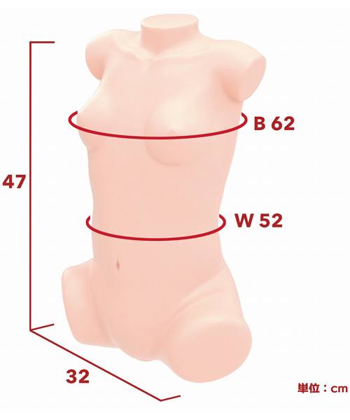 ���{�����A���{�f�B�{�R�c�{�[���V�X�e���@�i���Ⴂ�h����K���肨�j�@��w�\��