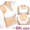 リブ編みスポーツブラ単品 BIG(コスチューム)